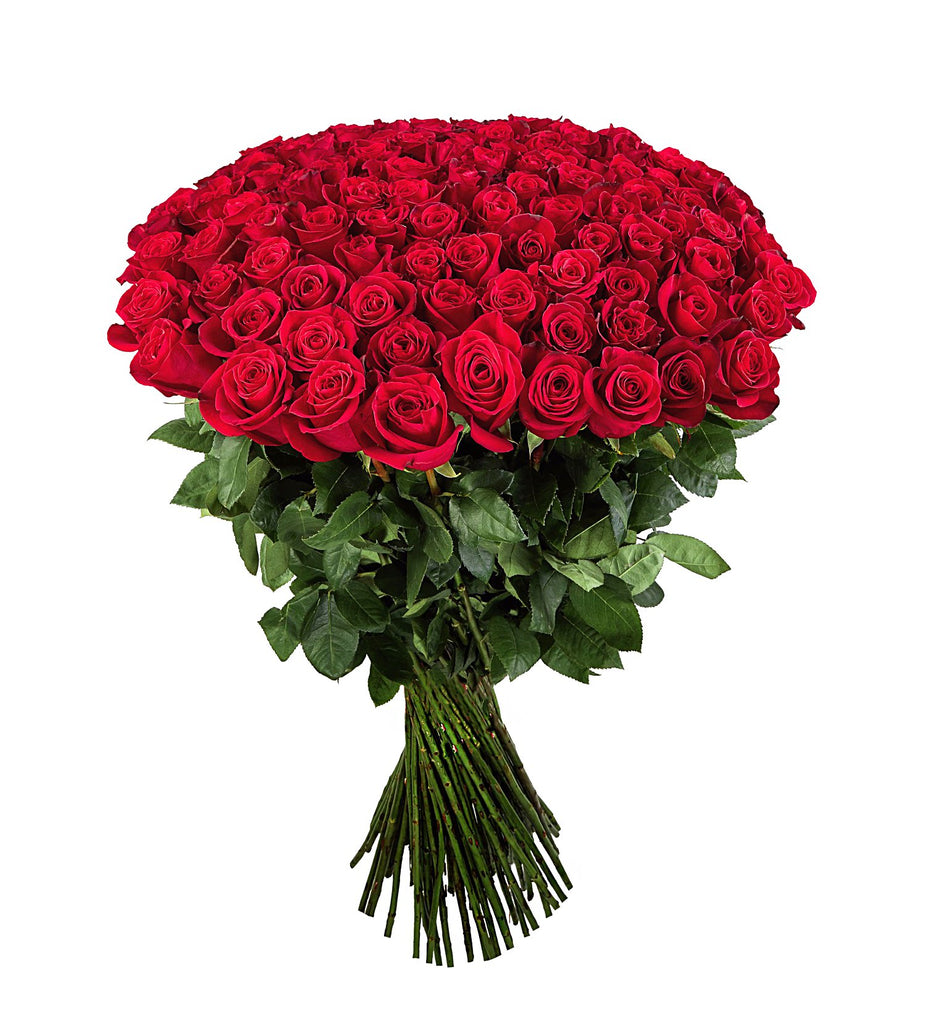Valentine's roses, 100 roses, London, delivery